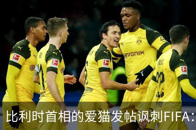 比利时首相的爱猫发帖讽刺FIFA：“红牌？”我照样继续踢！